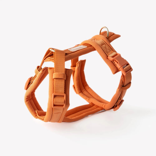 Terracotta - Comfort Dog Harness FURLOU