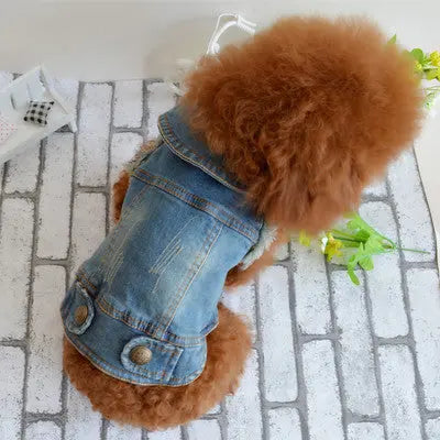 Vintage Denim Vest for Dogs - Teddy & Poodle Style PurrBurr