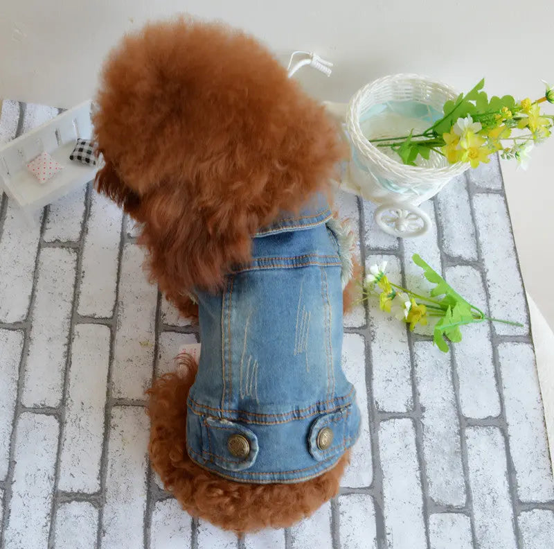 Vintage Denim Vest for Dogs - Teddy & Poodle Style PurrBurr