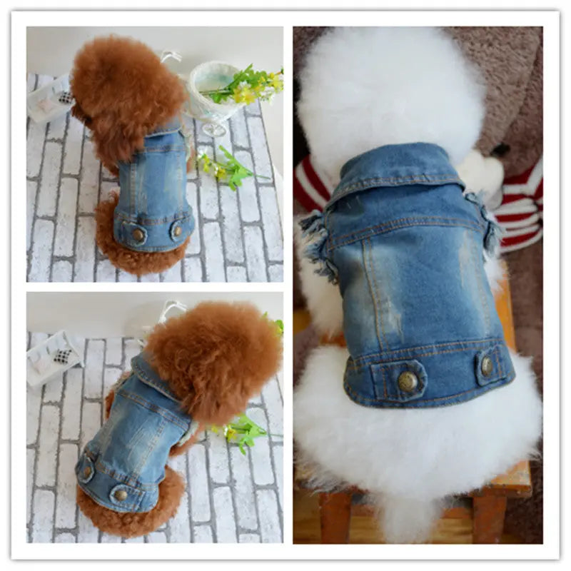 Vintage Denim Vest for Dogs - Teddy & Poodle Style PurrBurr