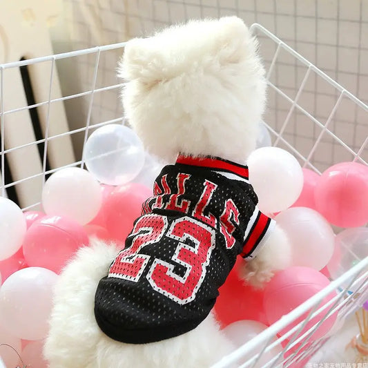 Breathable Summer Vest for Teddy Dogs PurrBurr