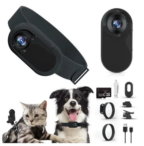 Pet Collar Camera PurrBurr