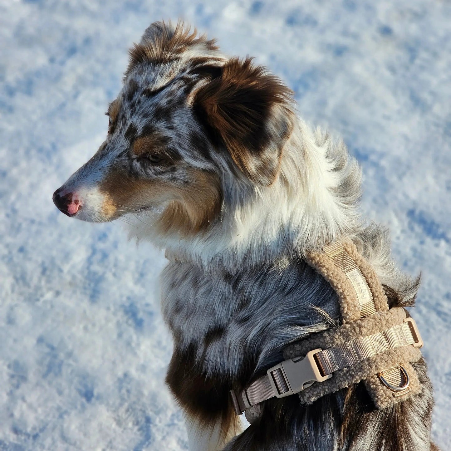 'Sand' - Sherpa Dog Harness FURLOU