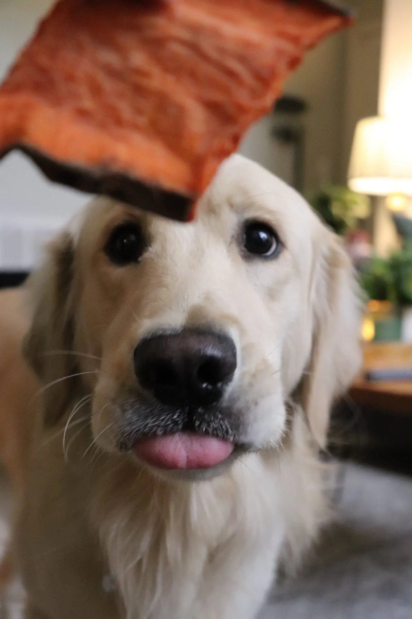 Sweet Potato Chews Gaines Family Farmstead