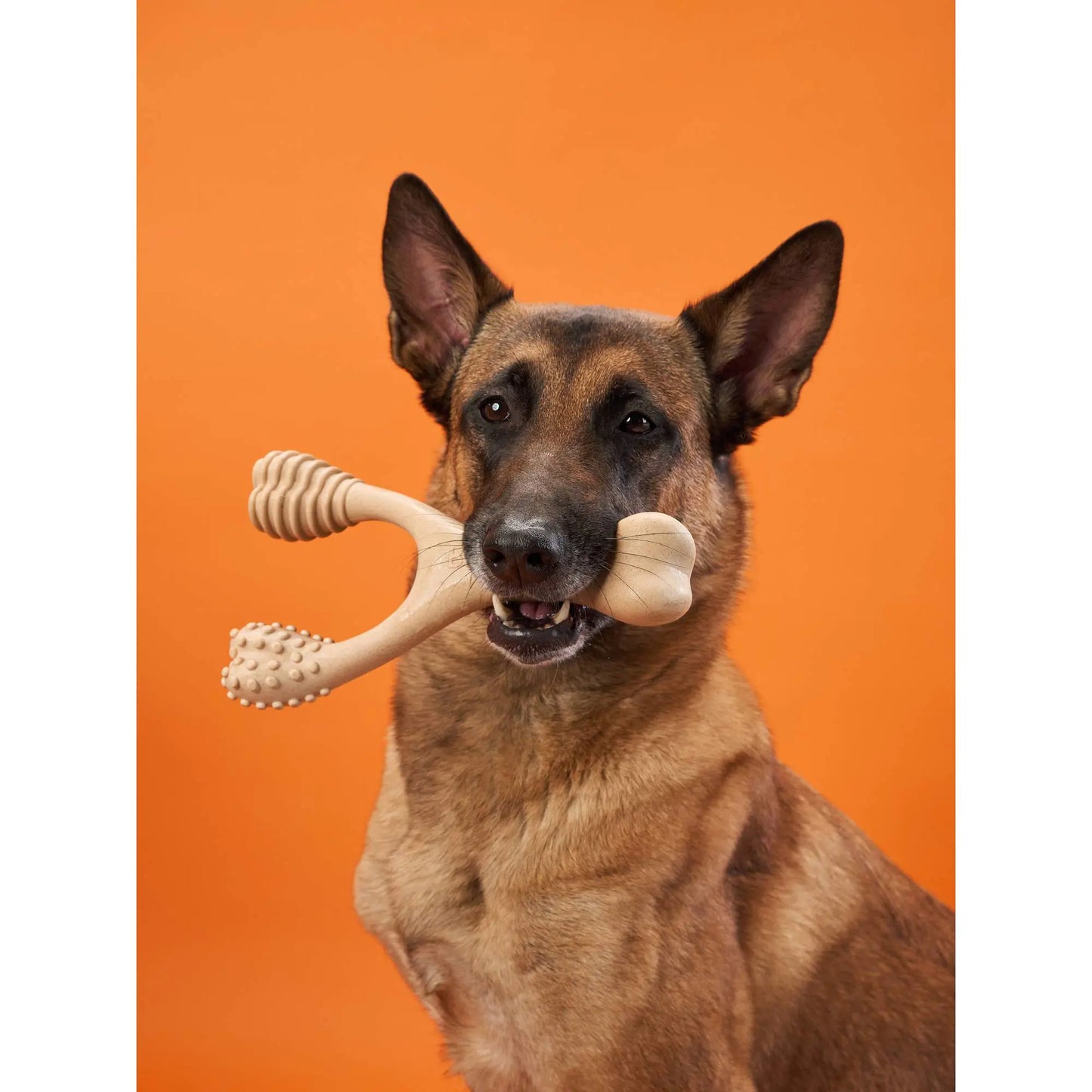 BetterBone HARD DURABLE CHEW TOY: Naturally Derived Ingredients, eco-friendly, and for the toughest chewers! BetterBone All Natural Eco-Friendly Dog Chews & Bones