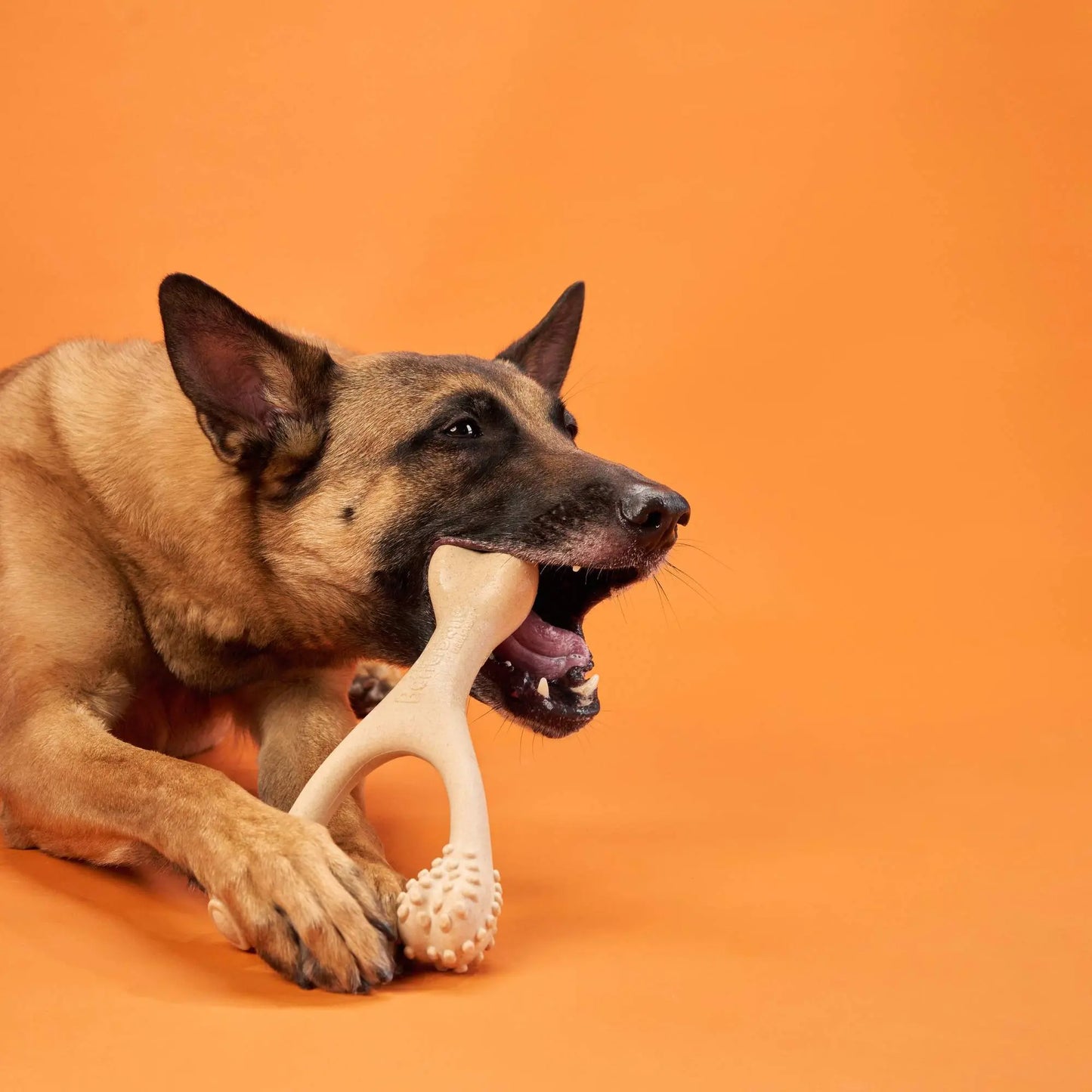 BetterBone HARD DURABLE CHEW TOY: Naturally Derived Ingredients, eco-friendly, and for the toughest chewers! BetterBone All Natural Eco-Friendly Dog Chews & Bones