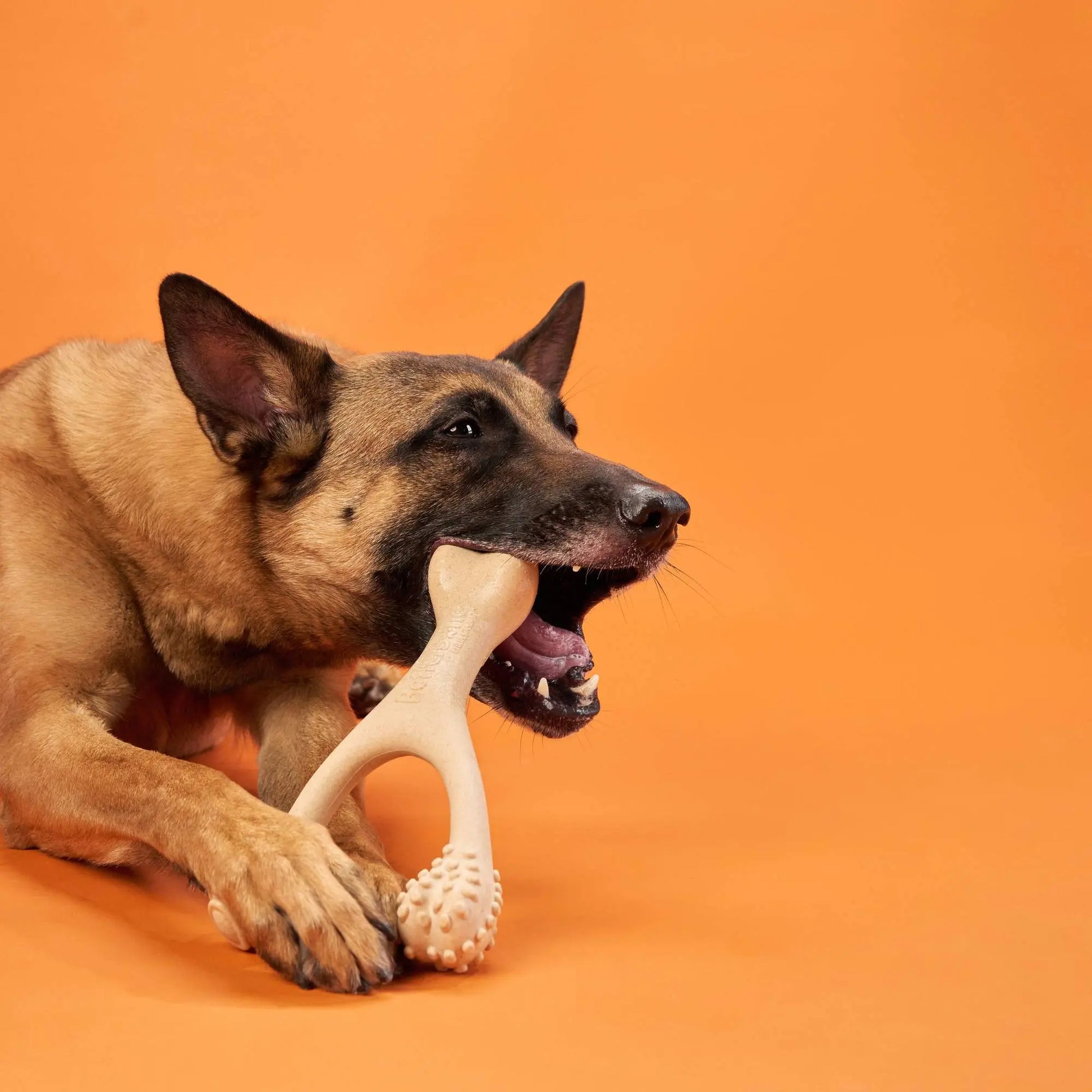 BetterBone HARD DURABLE CHEW TOY: Naturally Derived Ingredients, eco-friendly, and for the toughest chewers! BetterBone All Natural Eco-Friendly Dog Chews & Bones
