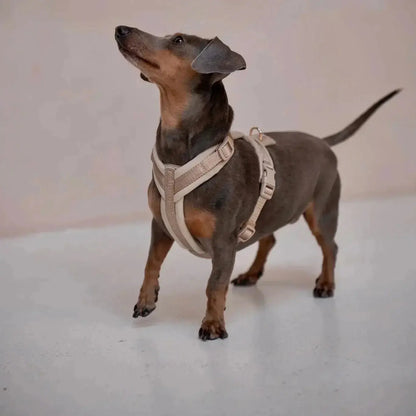 Yellow - Velvet Dog Harness FURLOU