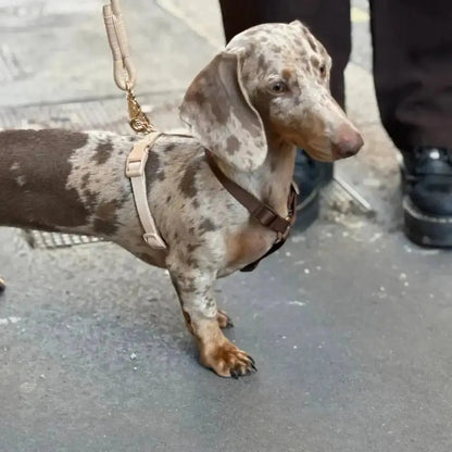 Brown and Tan - Dog Harness FURLOU