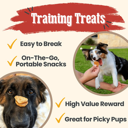 Chicken Chips for Dogs | All-Natural Single-Ingredient Dog Treats Farm To Pet