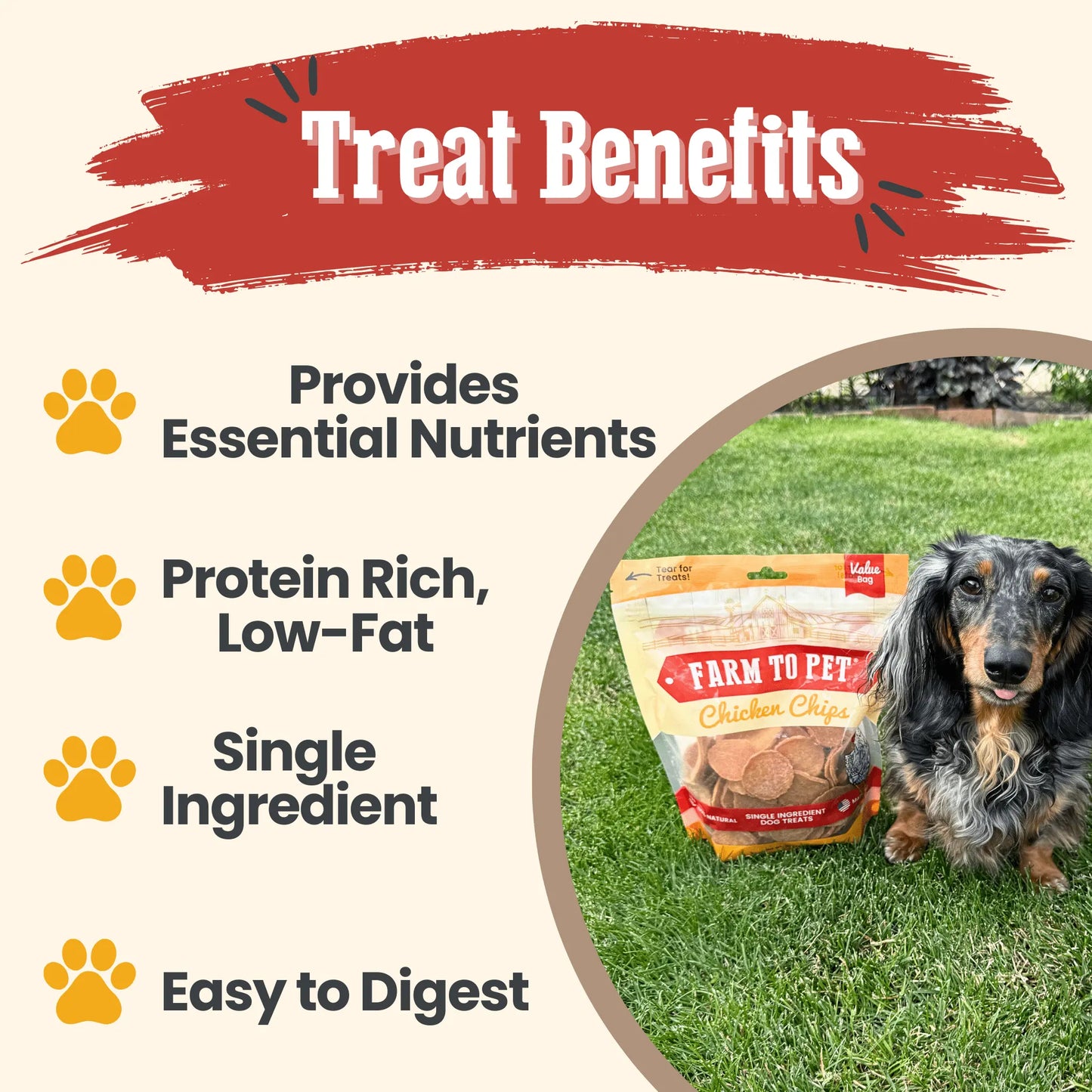 Chicken Chips for Dogs | All-Natural Single-Ingredient Dog Treats Farm To Pet