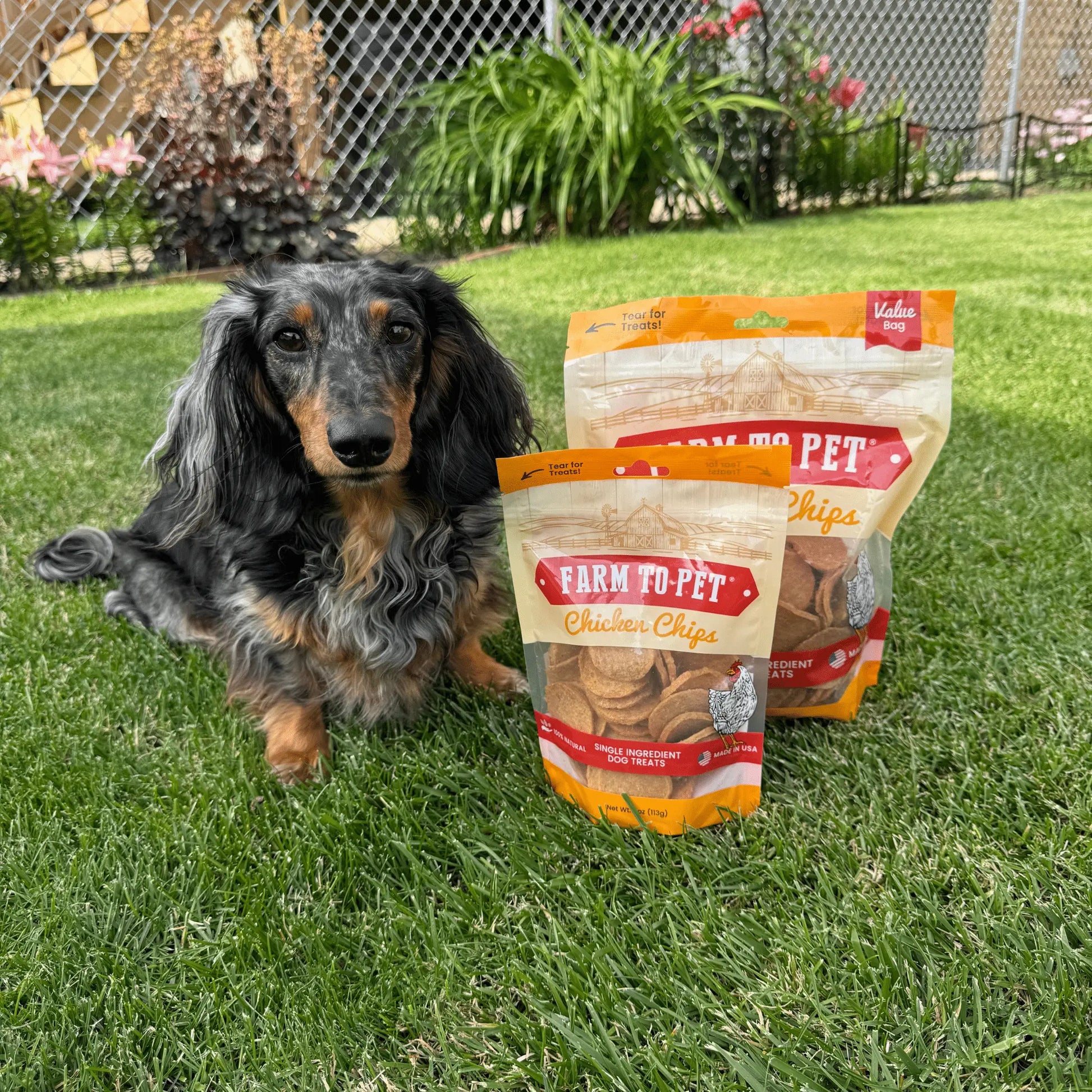 Chicken Chips for Dogs | All-Natural Single-Ingredient Dog Treats Farm To Pet