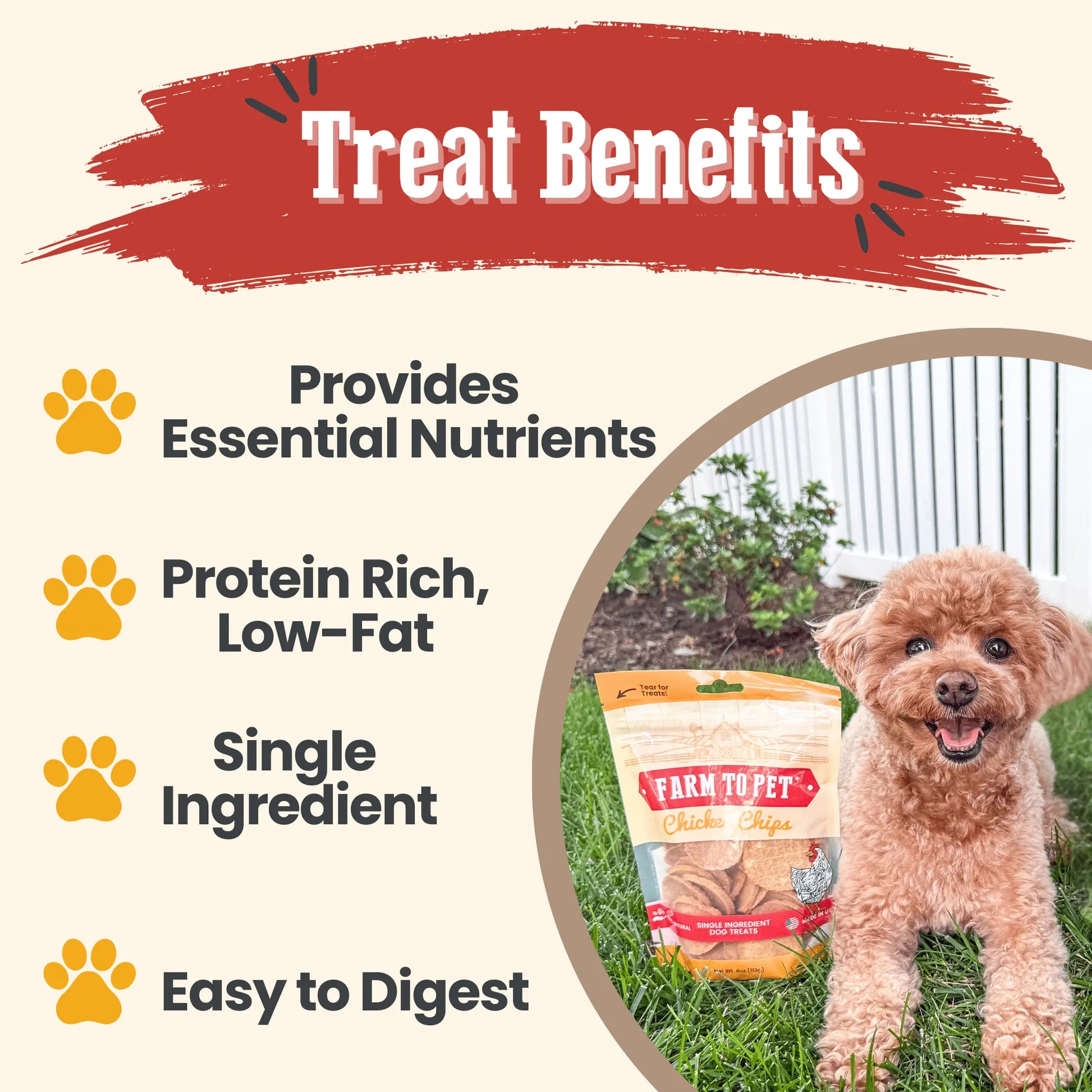 Chicken Chips for Dogs | All-Natural Single-Ingredient Dog Treats Farm To Pet