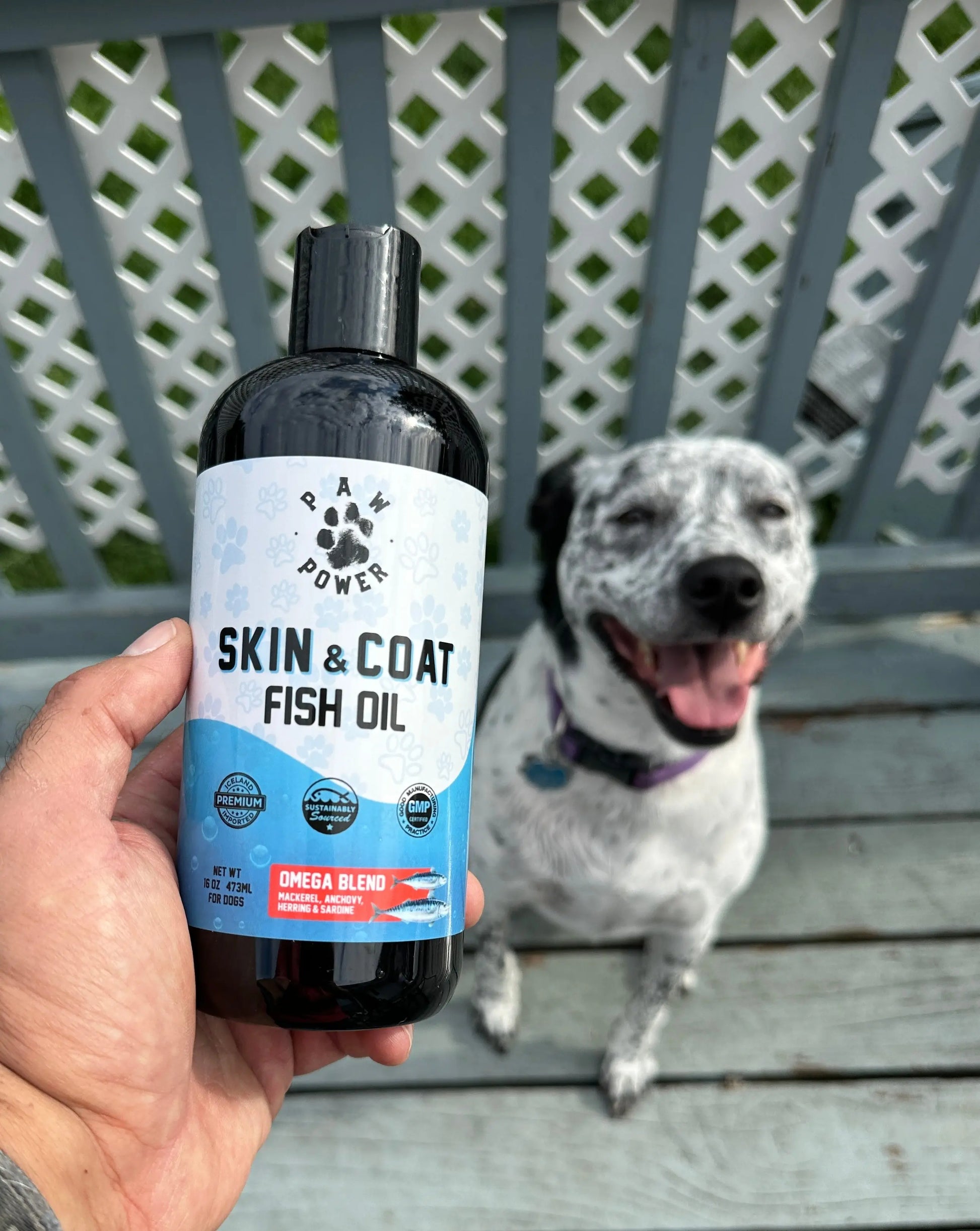 Dawg Health Skin & Coat Paw Power Nutrition