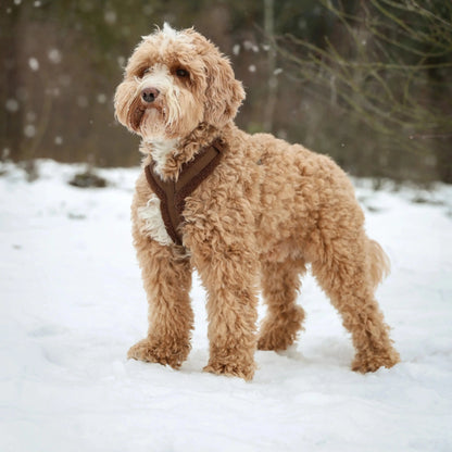 'Brown' - Sherpa Dog Harness FURLOU