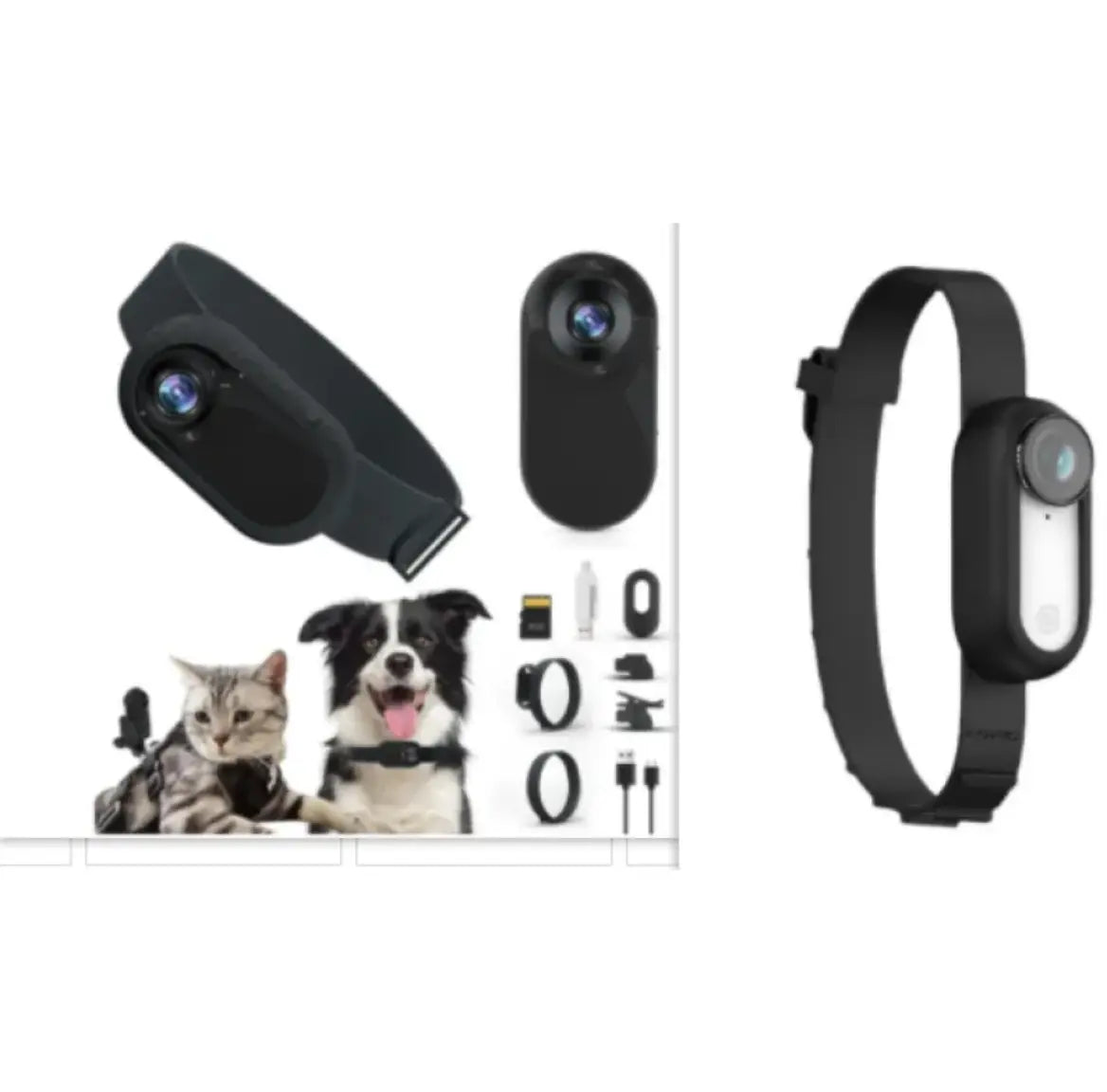 Pet Collar Camera PurrBurr