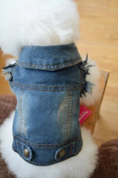 Vintage Denim Vest for Dogs - Teddy & Poodle Style PurrBurr