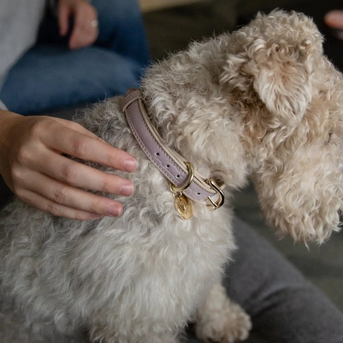 Collar - Vegan Leather Nina Woof