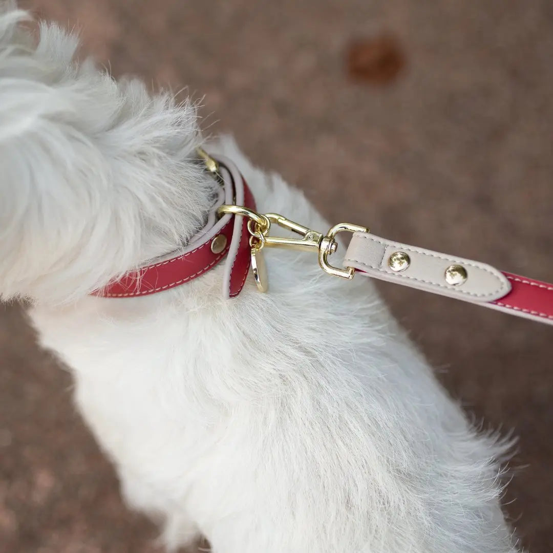 Leash 4ft - Vegan Leather - Copenhagen Nina Woof