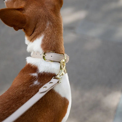 Collar - Vegan Leather - Copenhagen Nina Woof