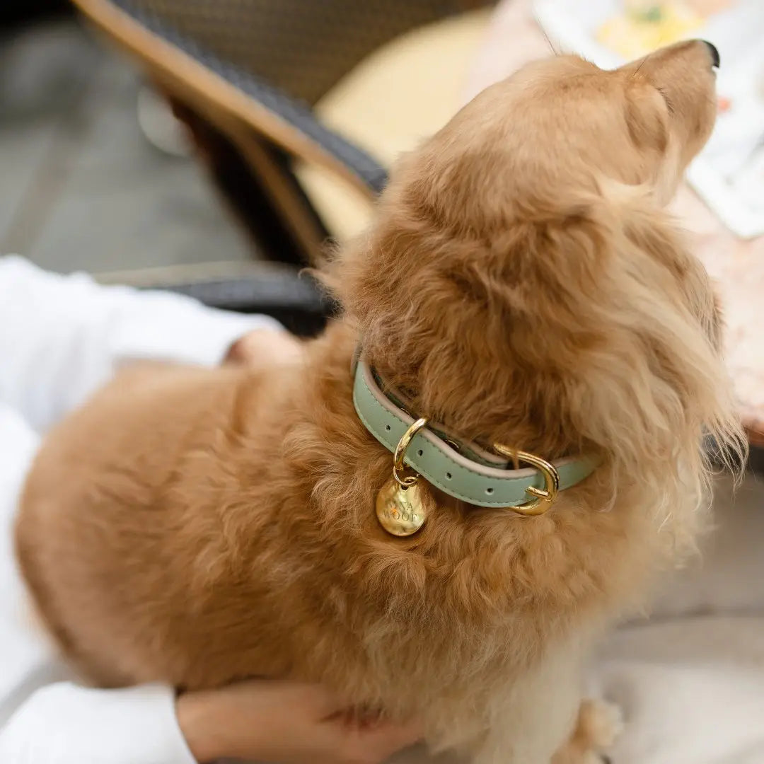 Collar - Vegan Leather - Copenhagen Nina Woof
