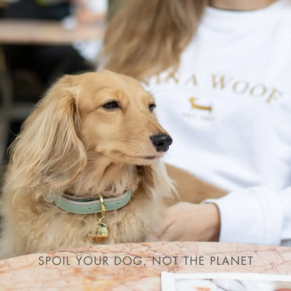 Collar - Vegan Leather - Copenhagen Nina Woof