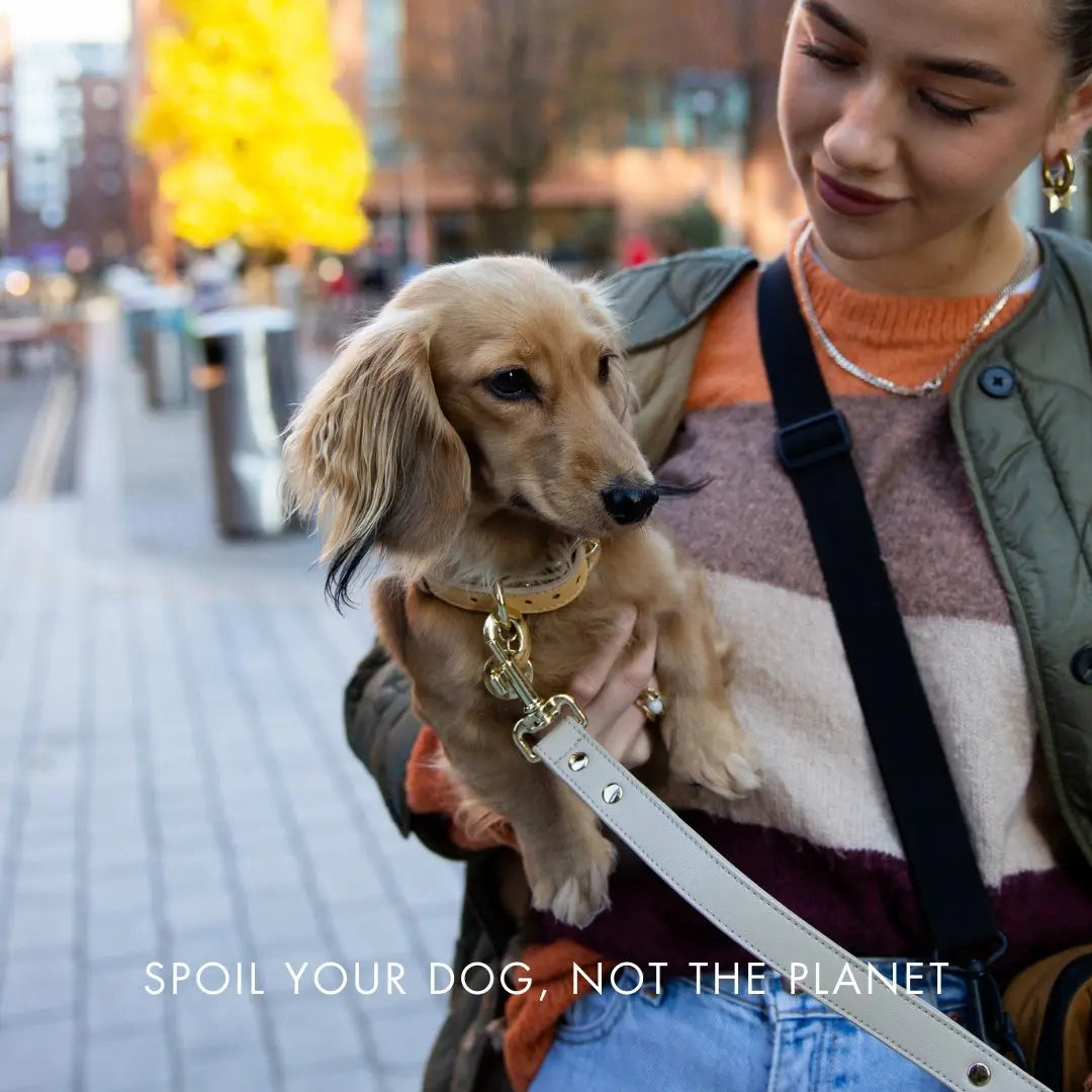 Collar - Vegan Leather - Copenhagen Nina Woof