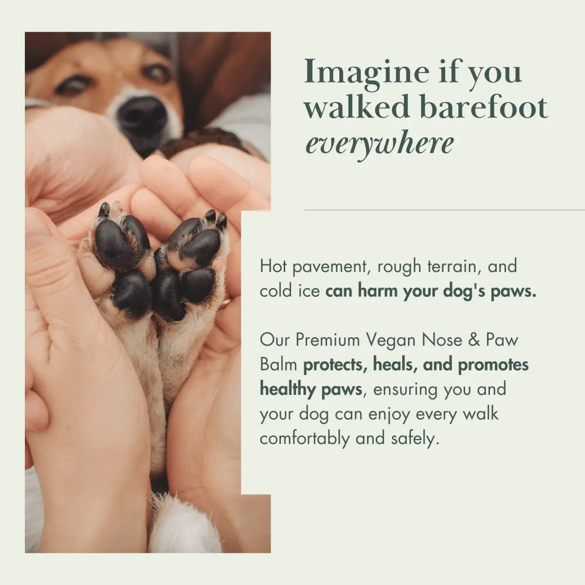 Dog Vegan Nose and Paw Balm for Healthy Paws Nina Woof
