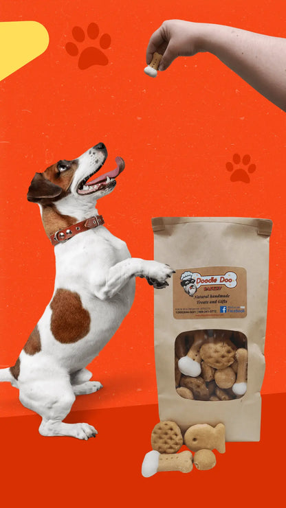 Party Bag Treat Blend 1lb - Homemade Dog Treats Doodle Doo Bakery