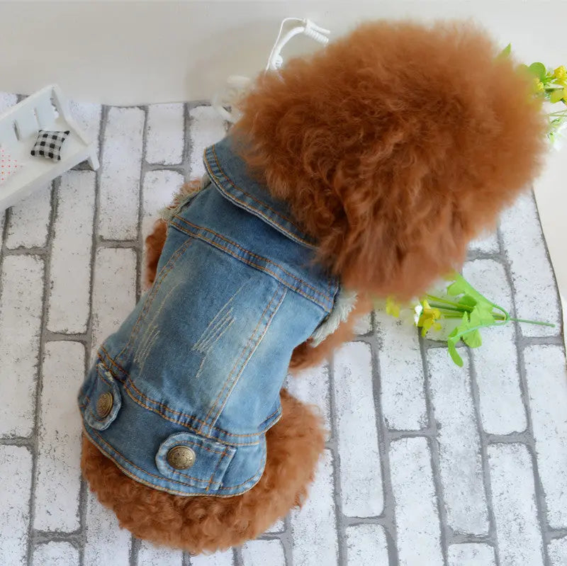 Vintage Denim Vest for Dogs - Teddy & Poodle Style PurrBurr