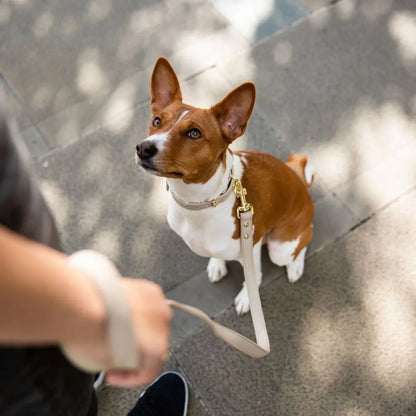 Leash 4ft - Vegan Leather Nina Woof
