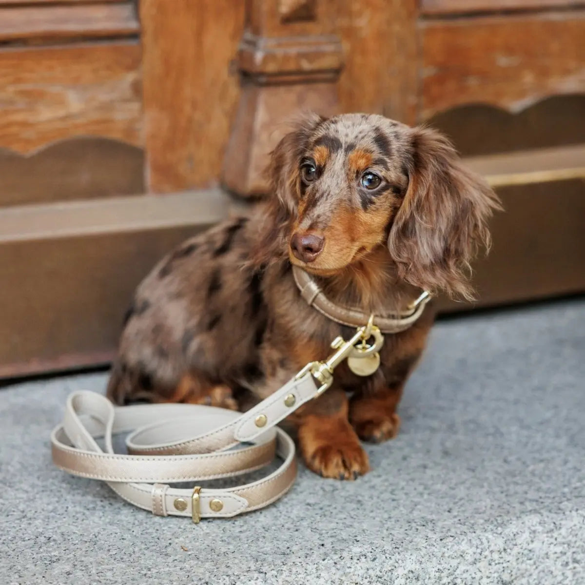 Leash 4ft - Vegan Leather Nina Woof