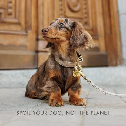 Leash 4ft - Vegan Leather Nina Woof