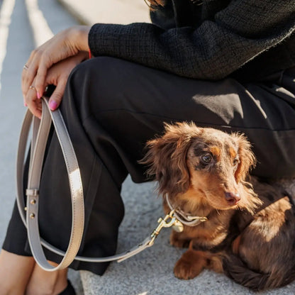 Leash 4ft - Vegan Leather Nina Woof