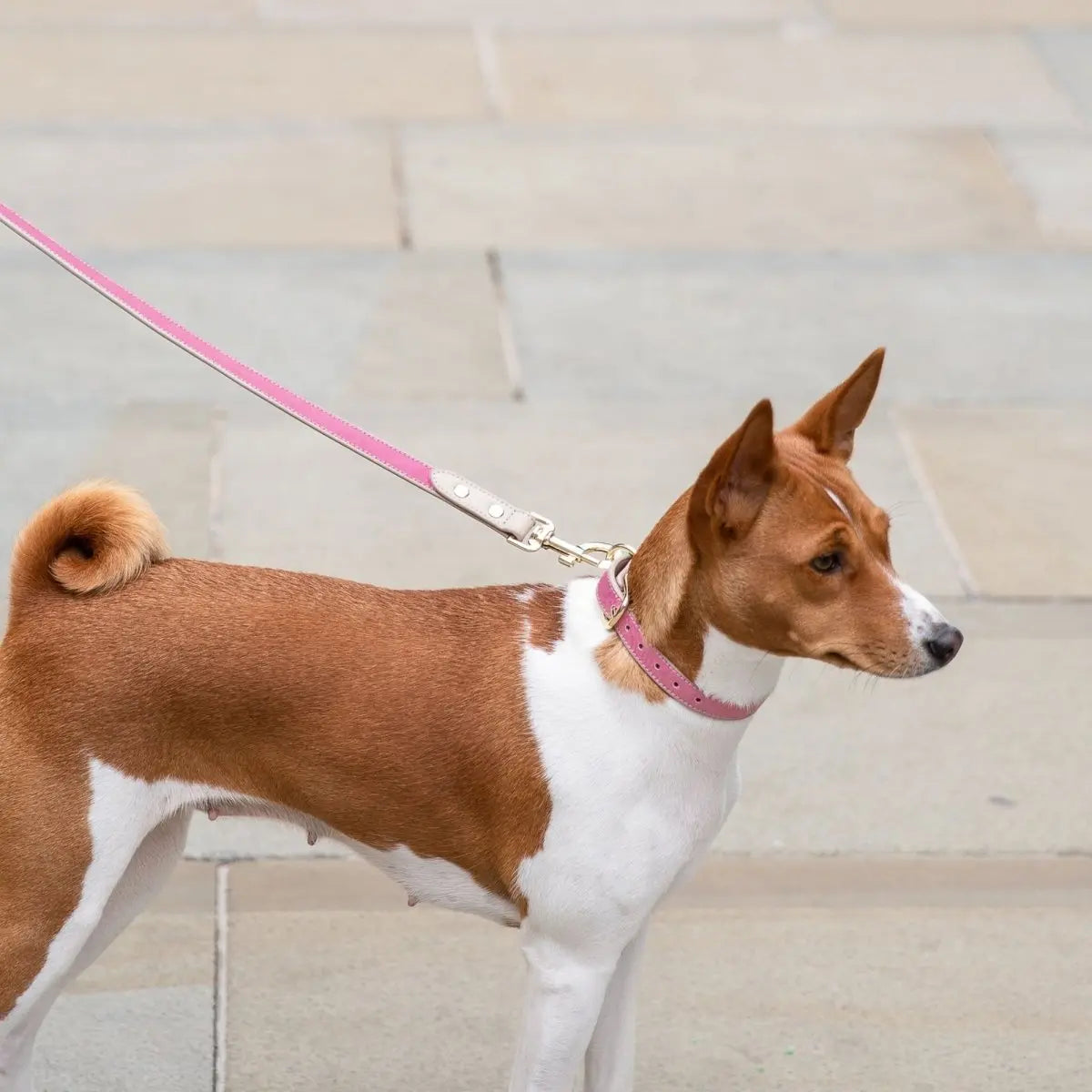Leash 4ft - Vegan Leather Nina Woof