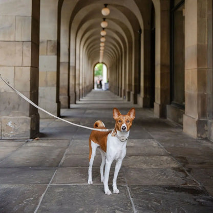 Leash 4ft - Vegan Leather Nina Woof