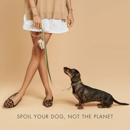 Leash 4ft - Vegan Leather - Copenhagen Nina Woof