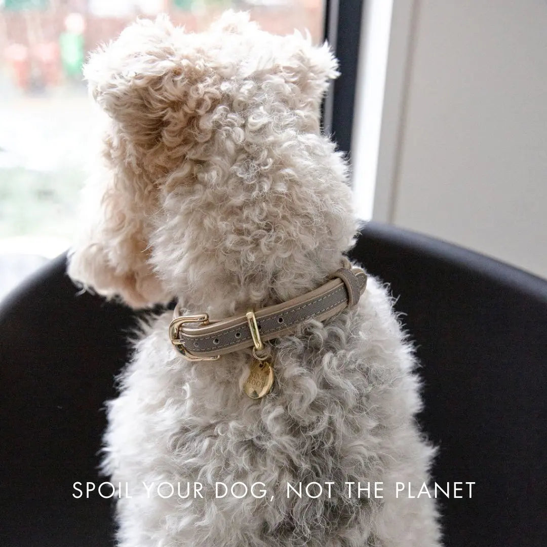 Collar - Vegan Leather - London Nina Woof