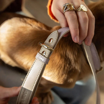 Leash 4ft - Vegan Leather - Milan Nina Woof