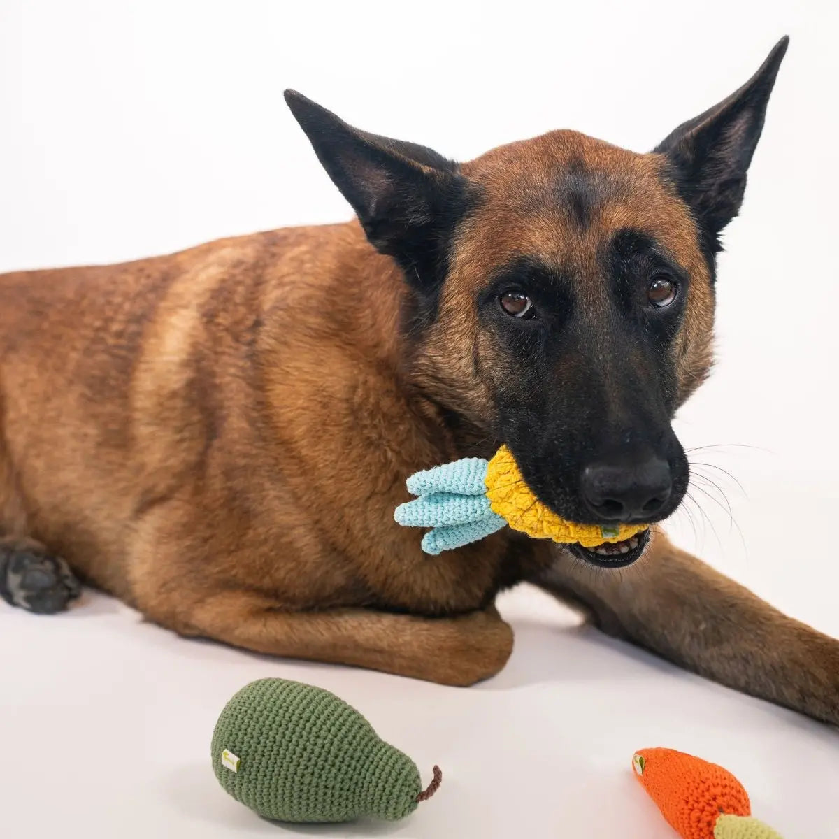 Organic Veggie Toys Bundle with Fun Shapes Nina Woof