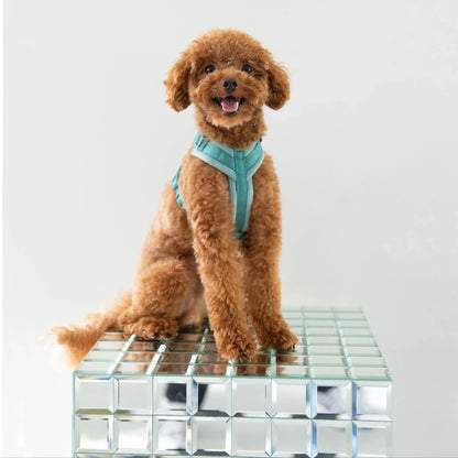 Blue - Velvet Dog Harness FURLOU