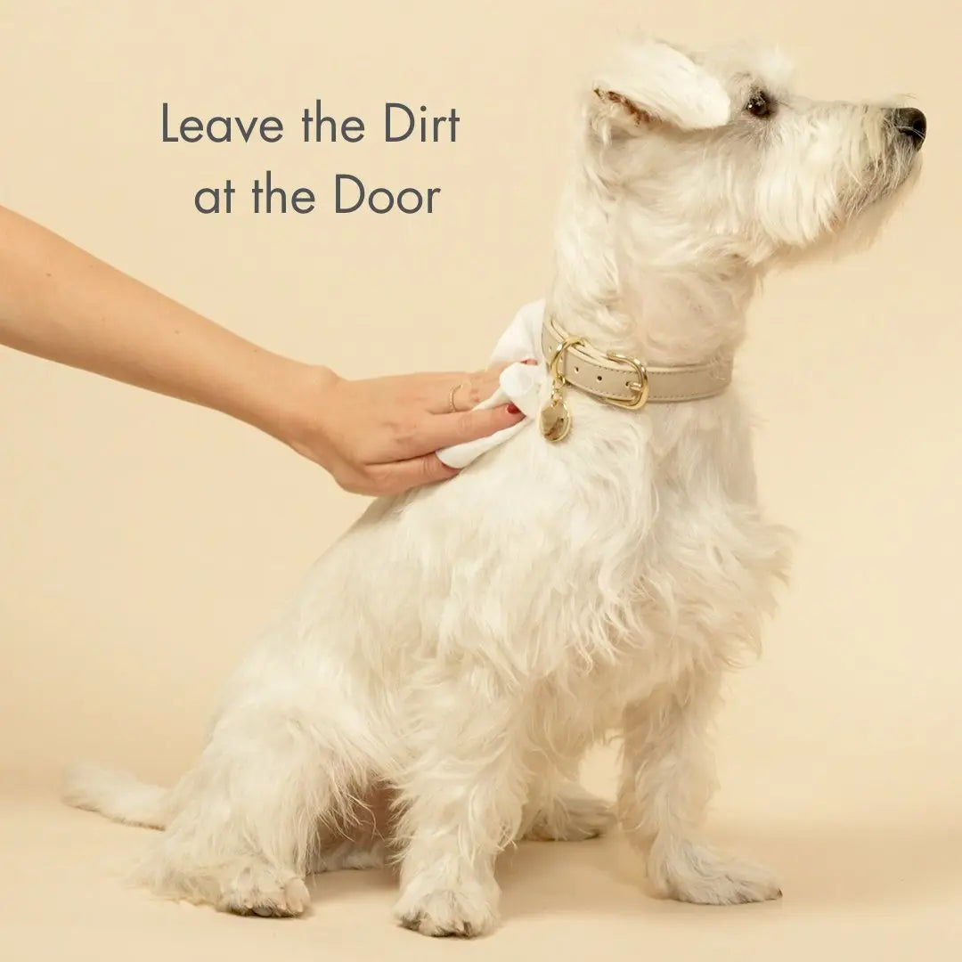 Premium Wipes - Biodegradable and Plant-Based Nina Woof