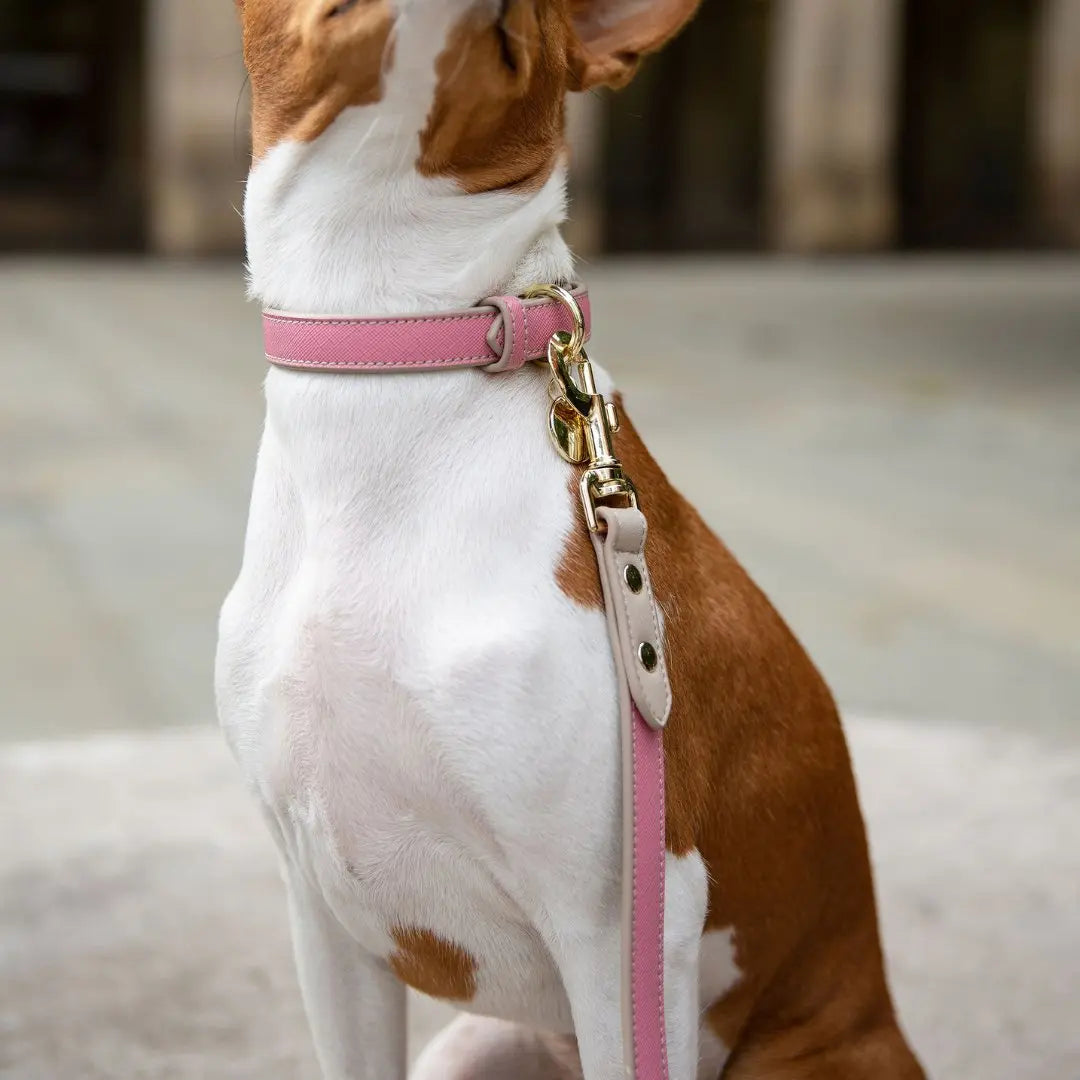 Leash 4ft - Vegan Leather - Rio Nina Woof