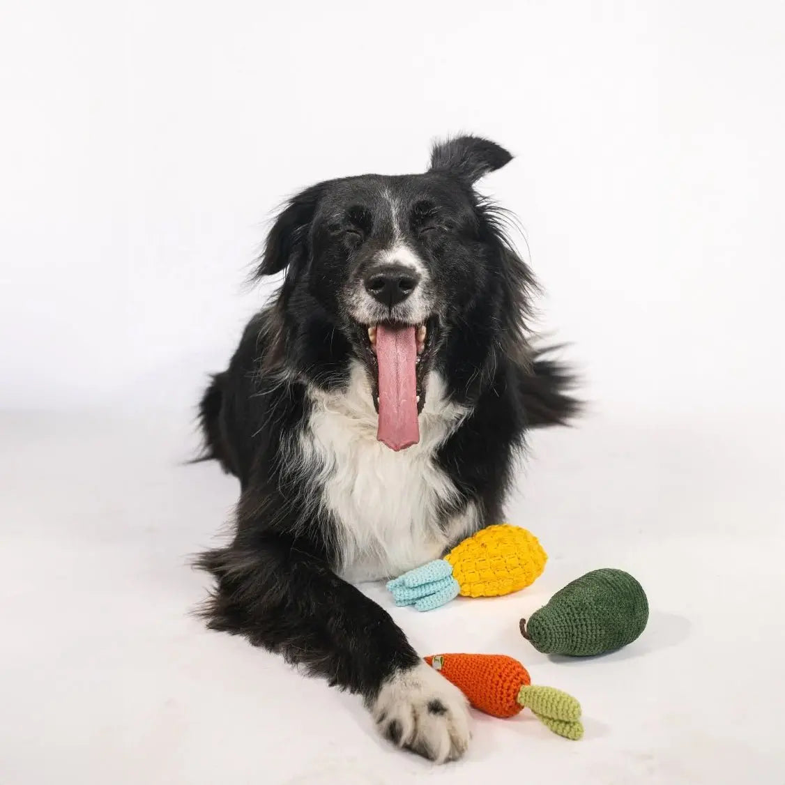 Organic Veggie Toys Bundle with Fun Shapes Nina Woof