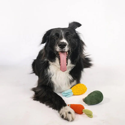 Organic Veggie Toys Bundle with Fun Shapes Nina Woof
